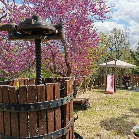 Гостевой дом Il Casale Dei Nonni